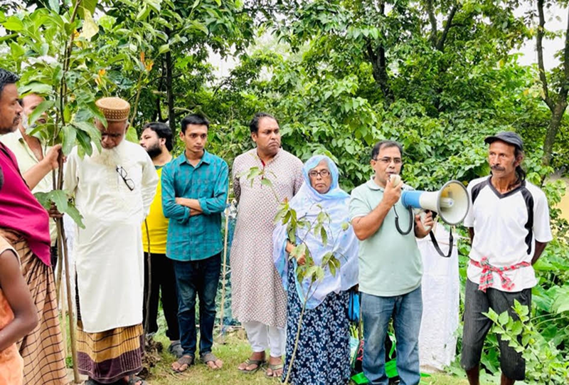 জলবায়ু পরিবর্তন ও বৈশ্বিক উষ্ণতার সাথে অভিযোজনের সহজ পন্থা হচ্ছে বেশি করে গাছ লাগানো।